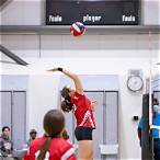 bet on volleyball futures